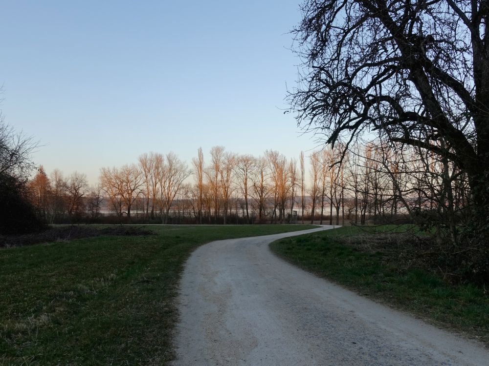 Blick zum Zeller See