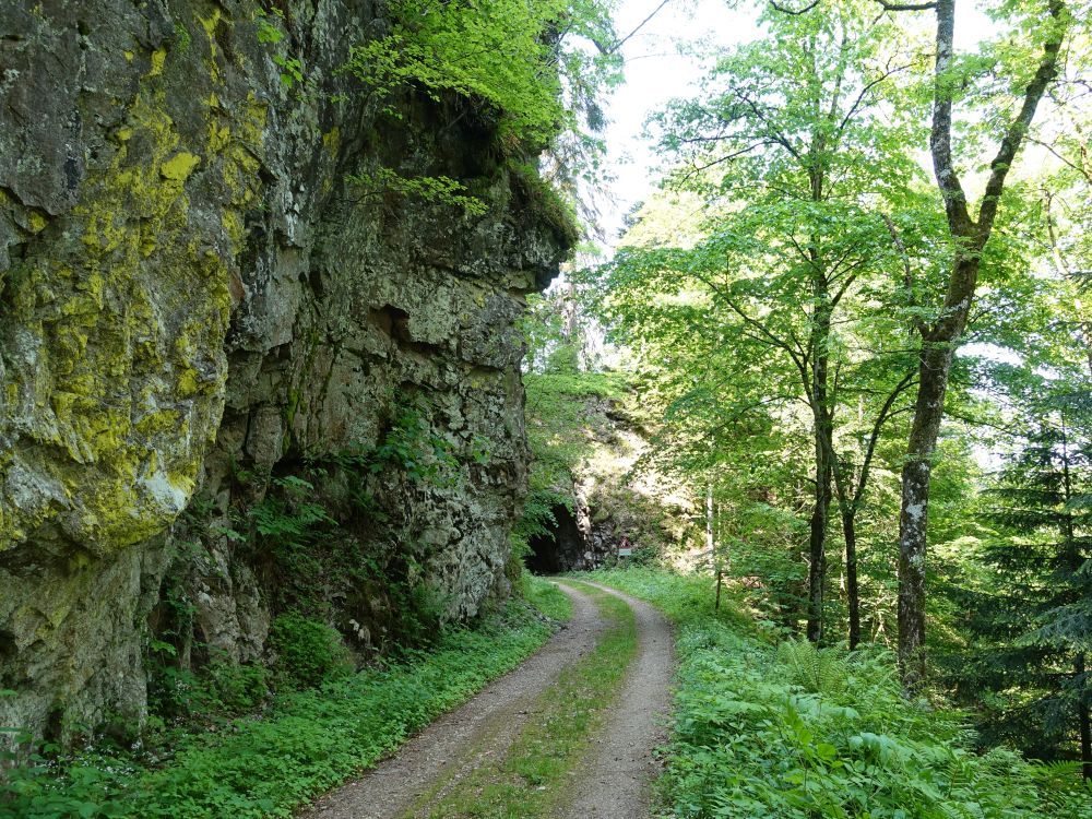 Ehwaldweg und Felswand