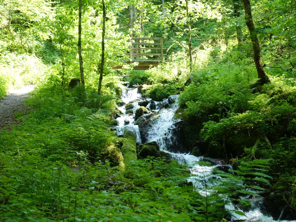 Wasserfall und Holzsteg