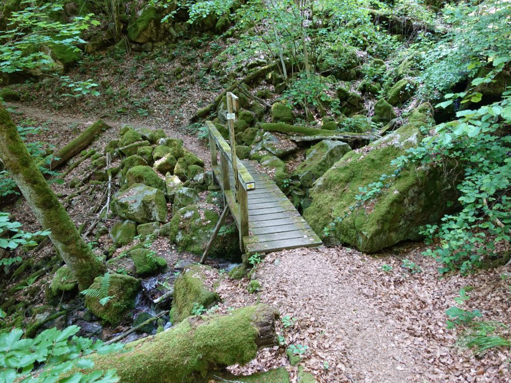 Steg im Neumettlengraben