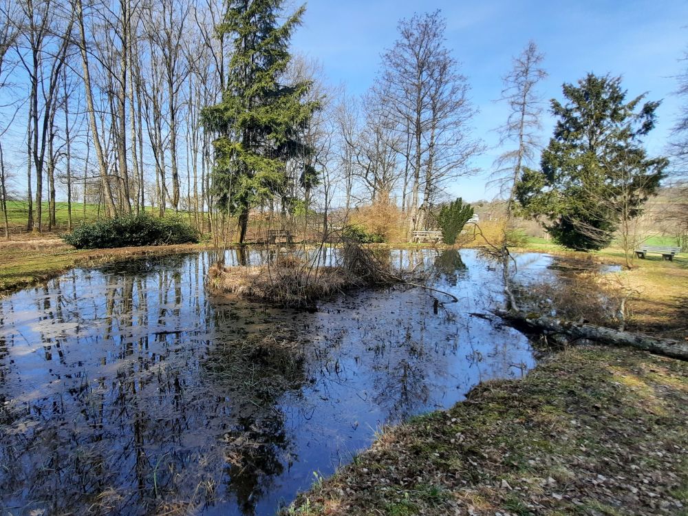 Teich Nähe Hof Bruttel