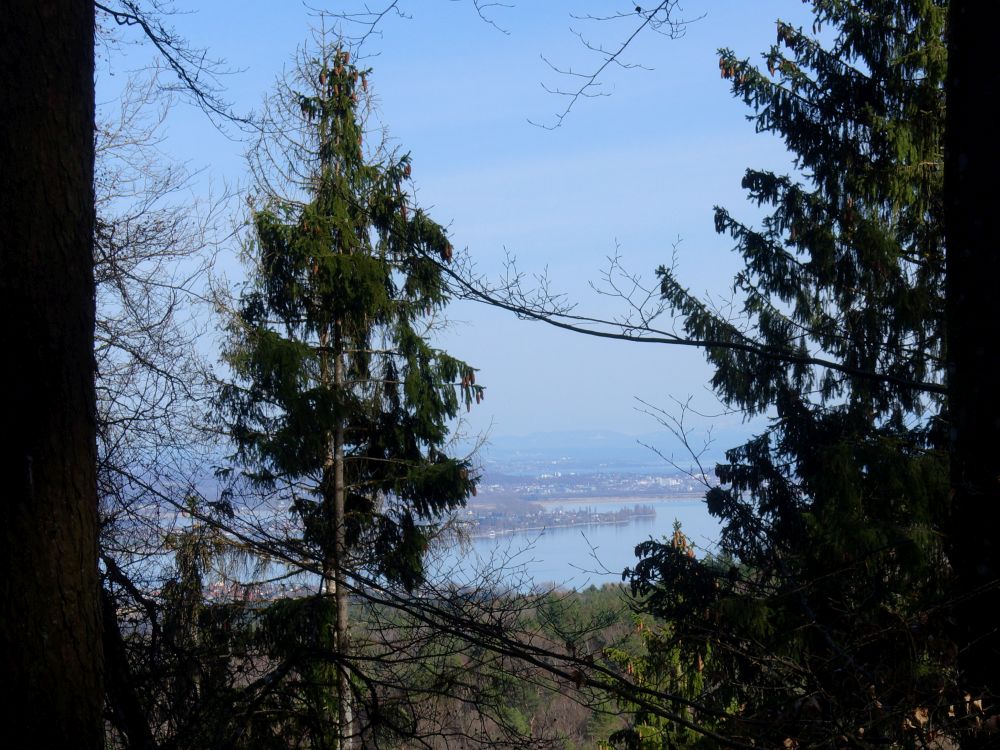 Blick zur Reichenau