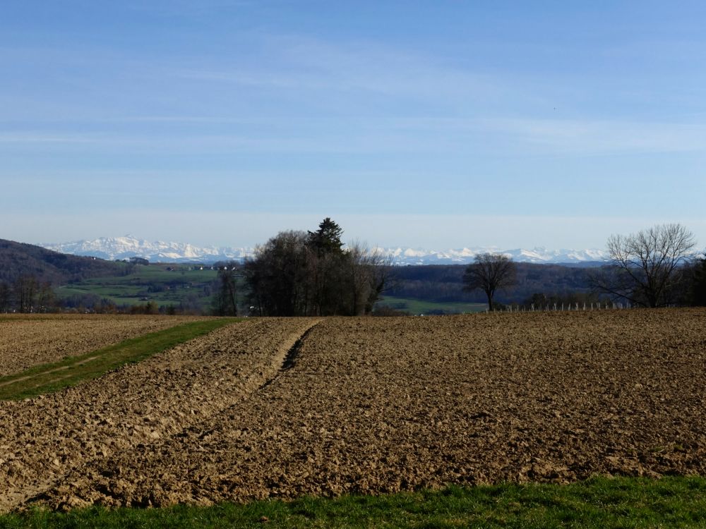 Alpenblick bei Honisheim