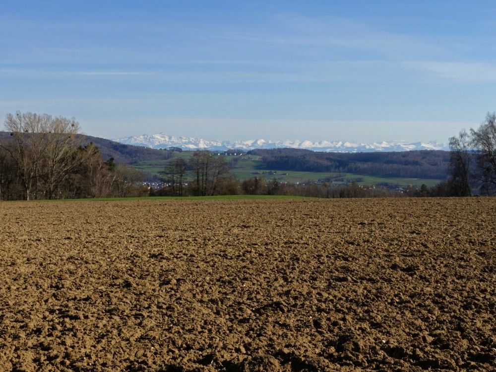 Alpenblick bei Honisheim