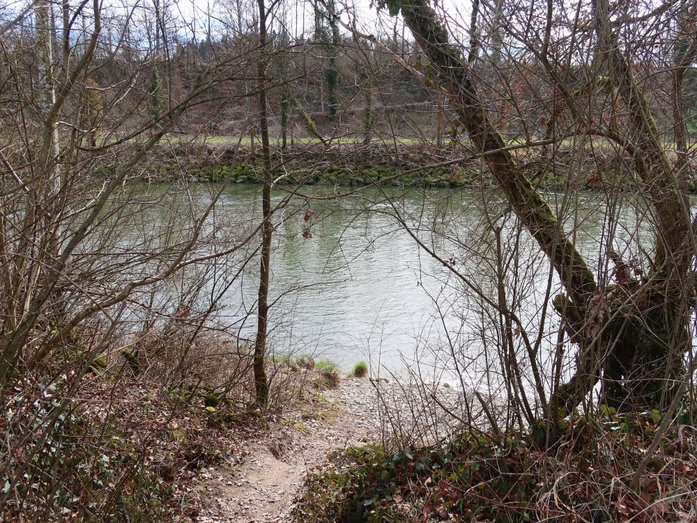 Thurufer