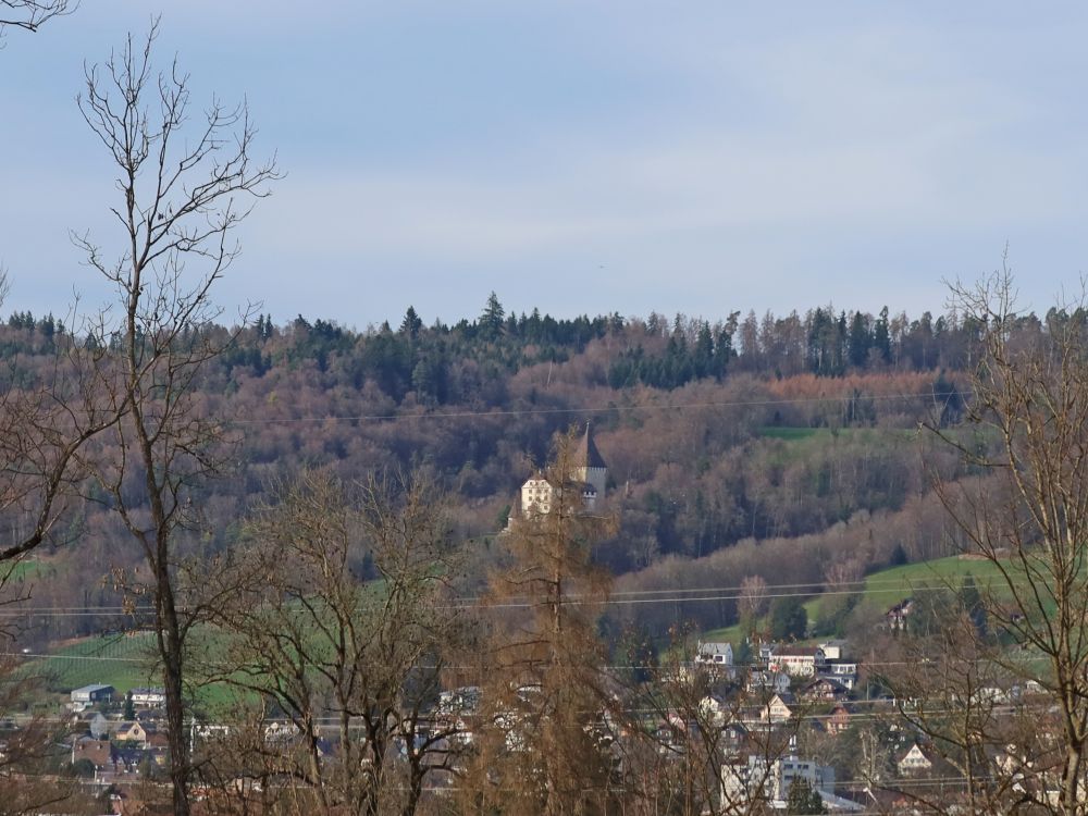 Schloss Weinfelden