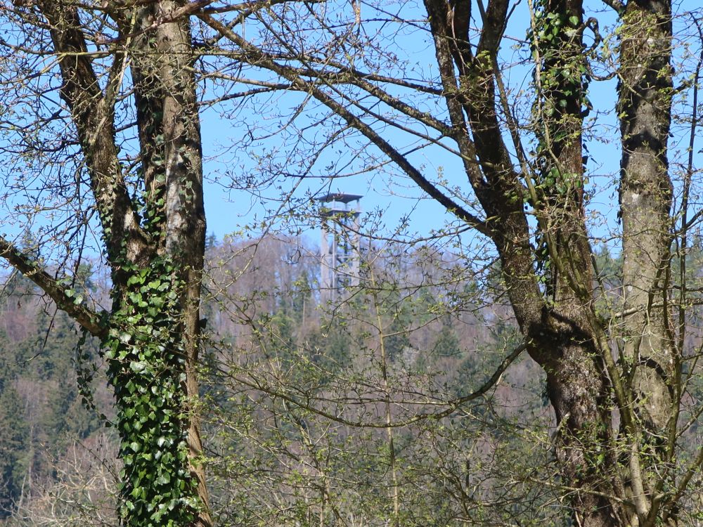 Aussichtsturm Altberg
