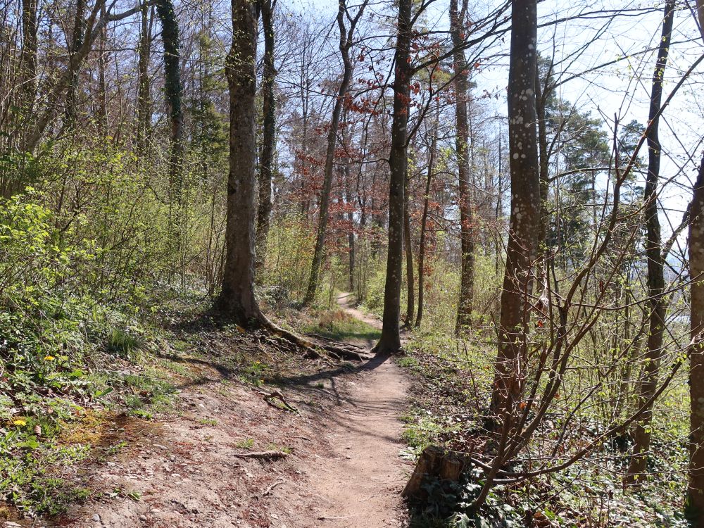 Chratzweg