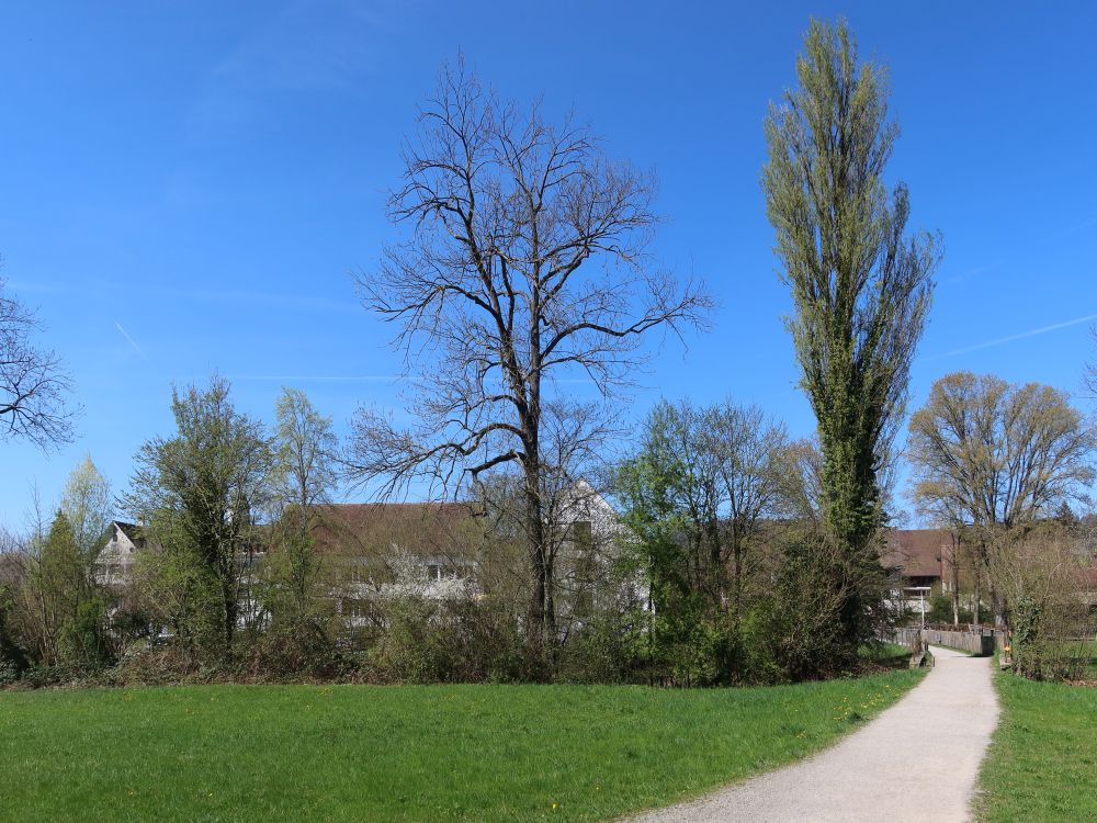 Chlosterstrasse bei Kolster Fahr