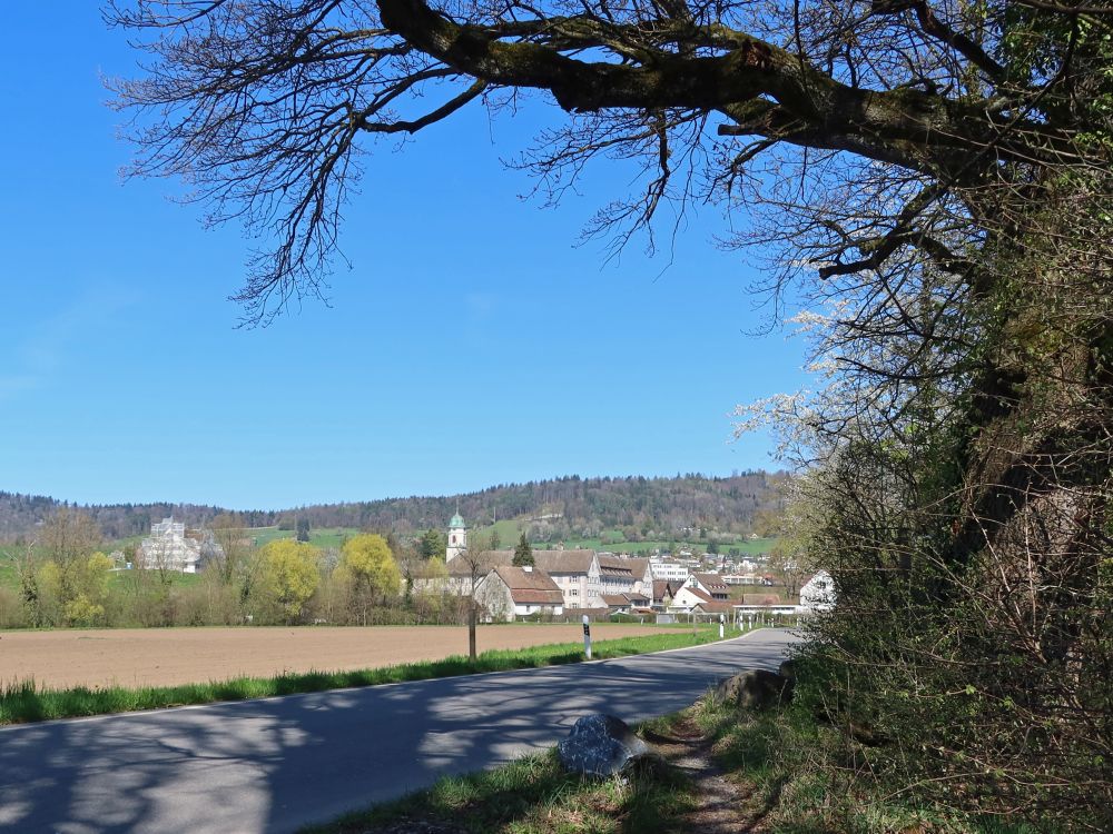 Blick Richtung Kloster Faht