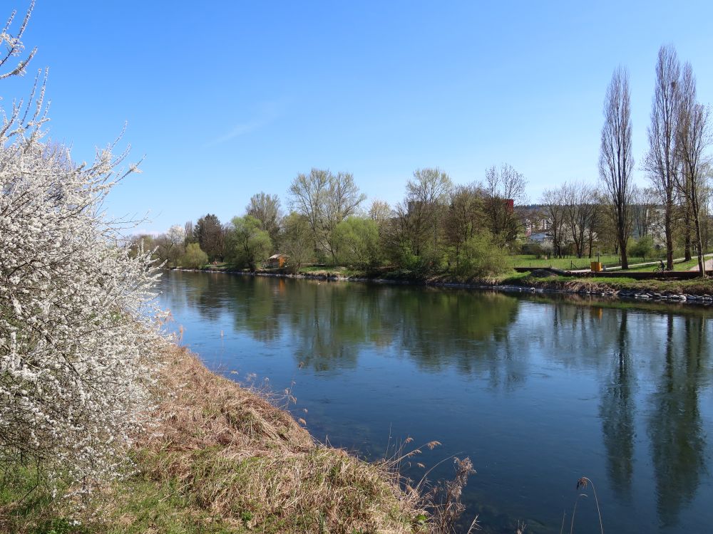 Limmat