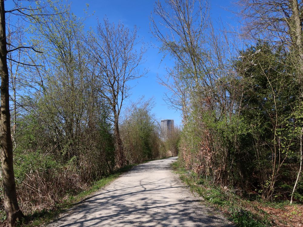 Limmatschanzenweg
