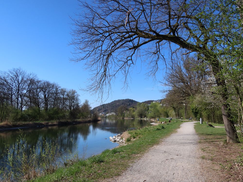 Limmatuferweg