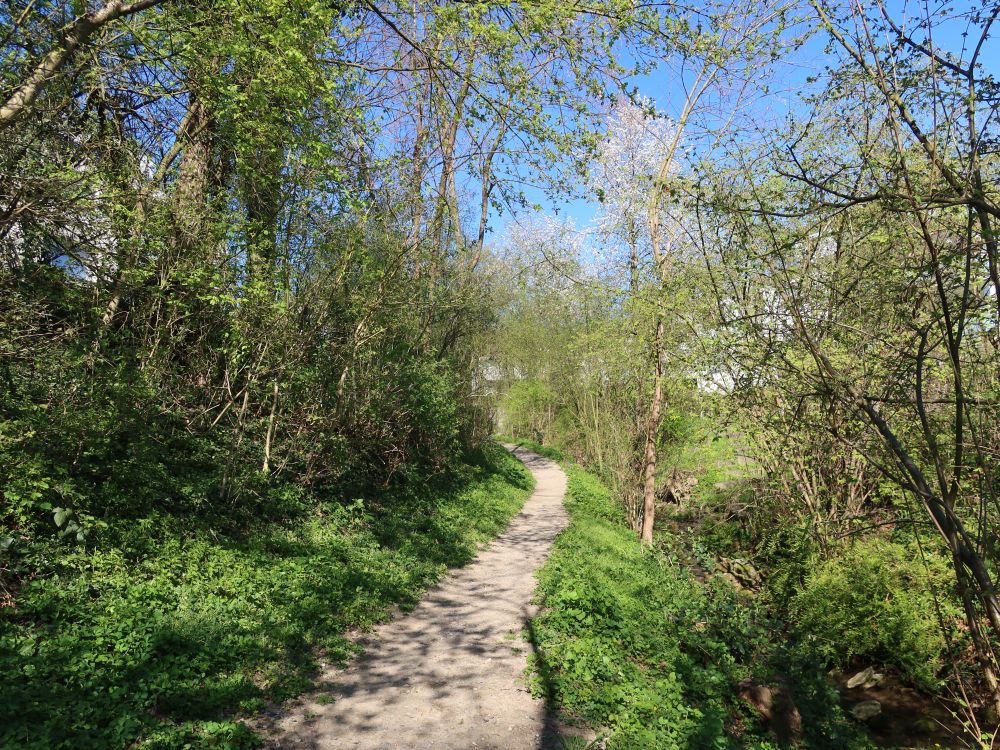 Bachweg bei Oetwil