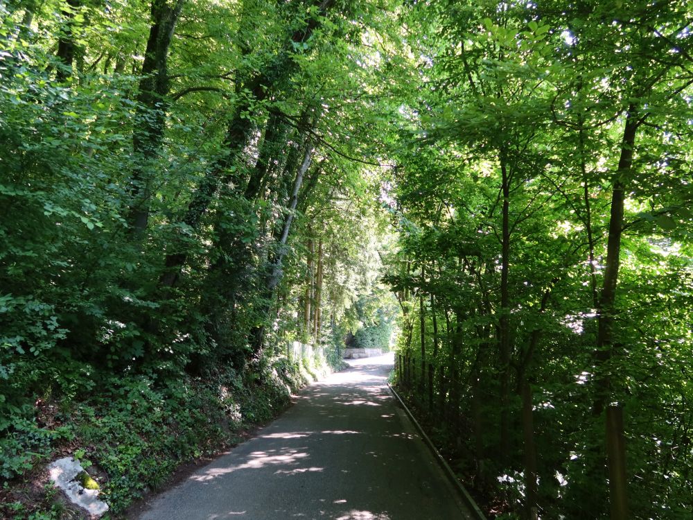 Mooshaldenstrasse