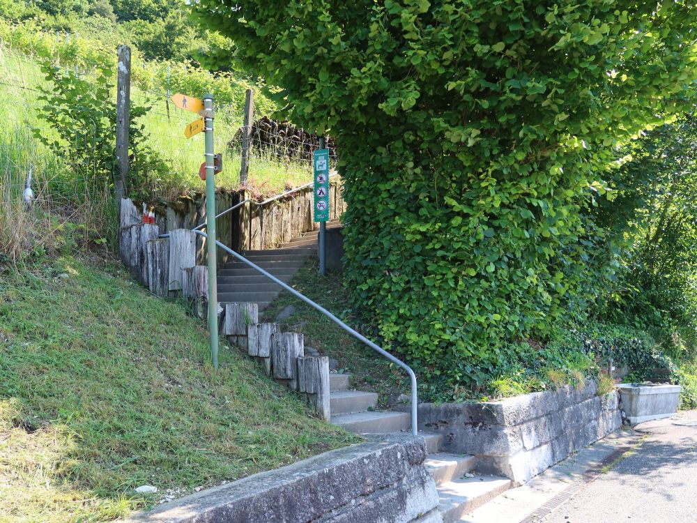 Treppe