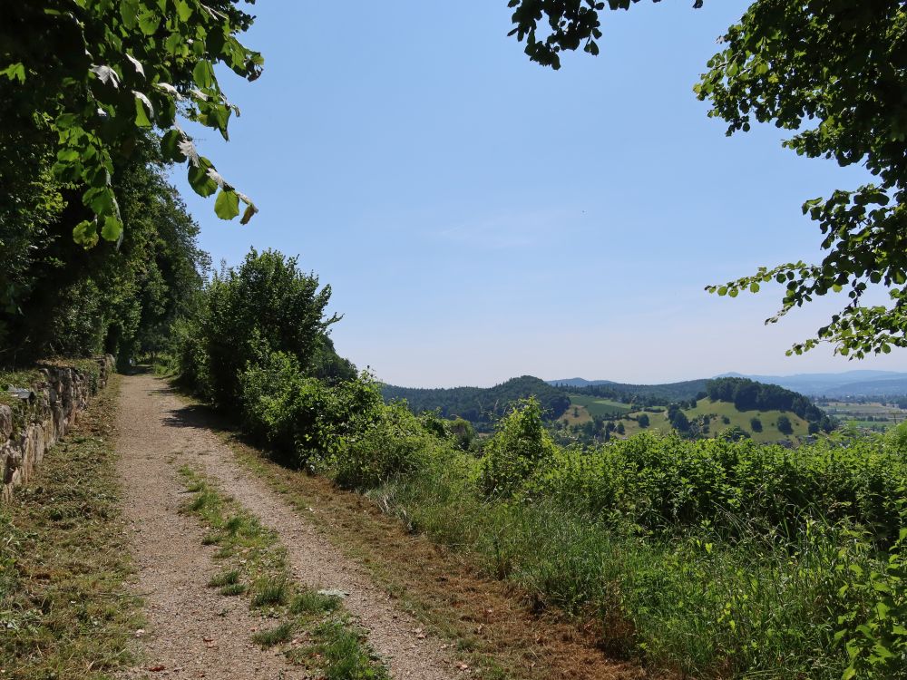Heerenbüngertweg