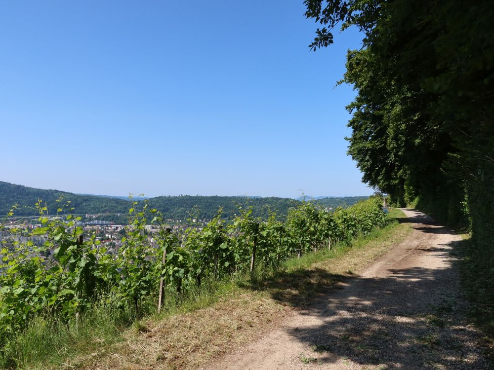Heerenbüngertweg