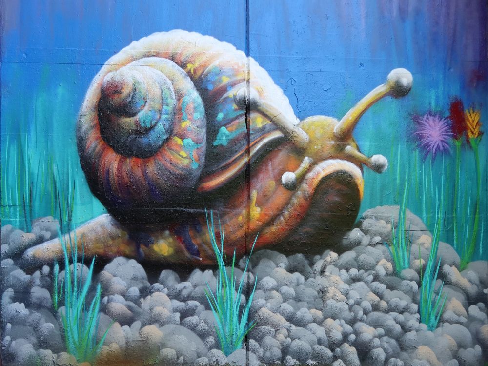 Grafitti