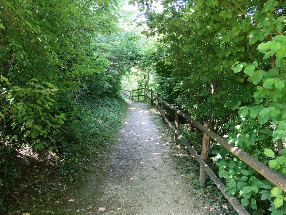 Pfad an der Fischtreppe