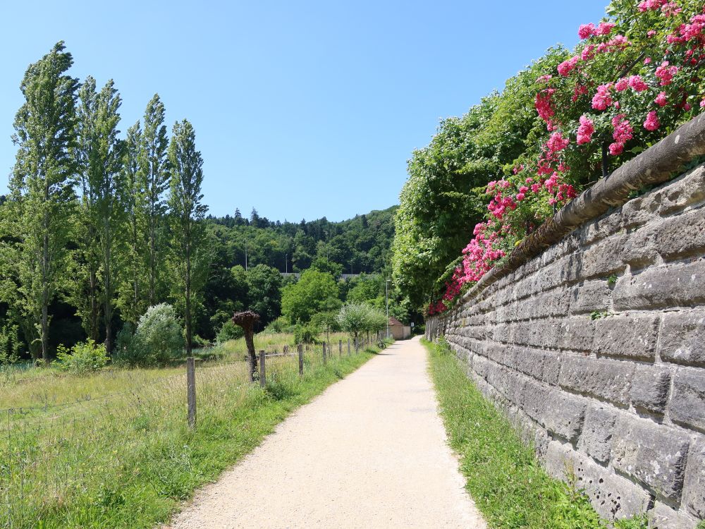 Zollhausweg an der Klostermauer
