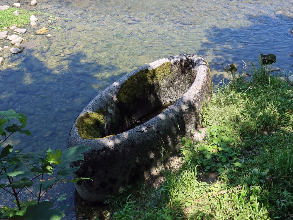 Steinring