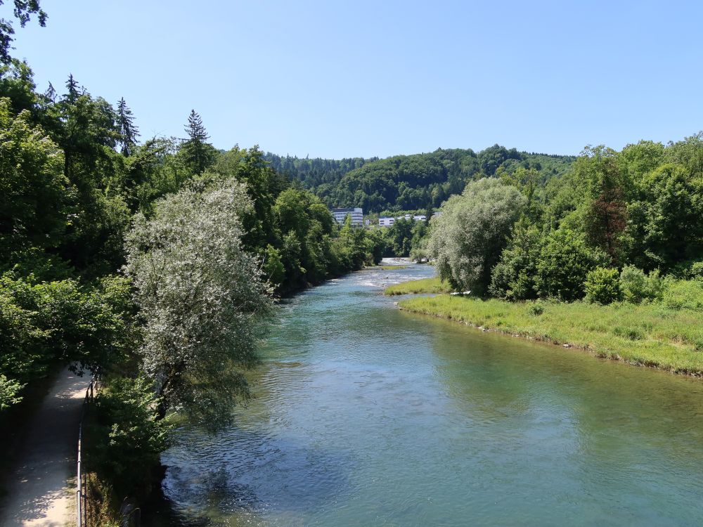 Limmat bei Webermühle