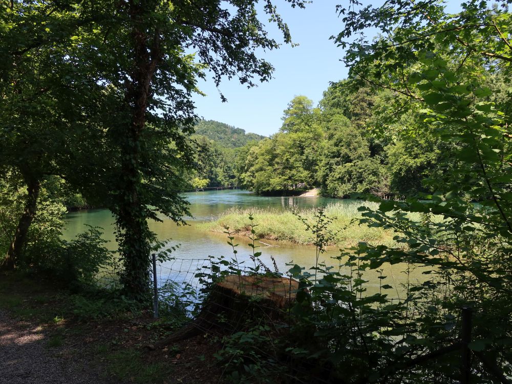Limmat