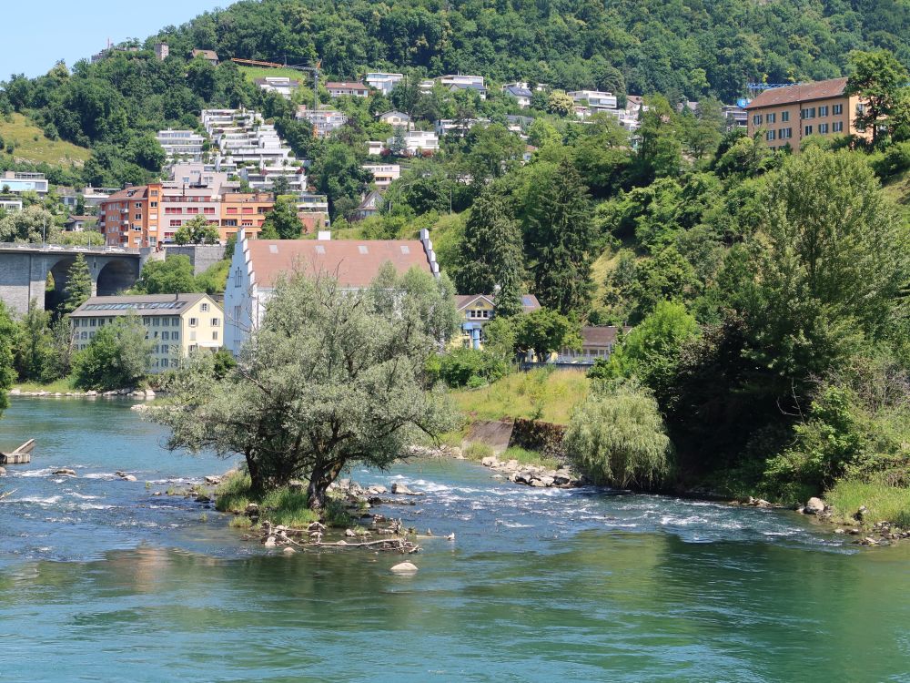 Inselchen in der Limmat