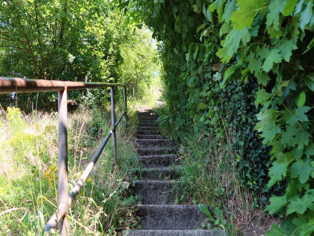 Treppe