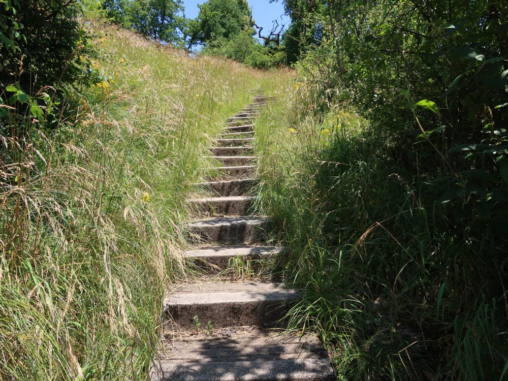 Treppe