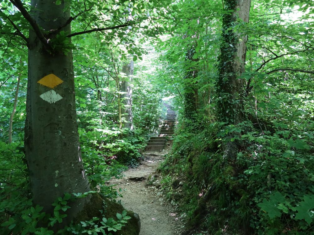 Treppe