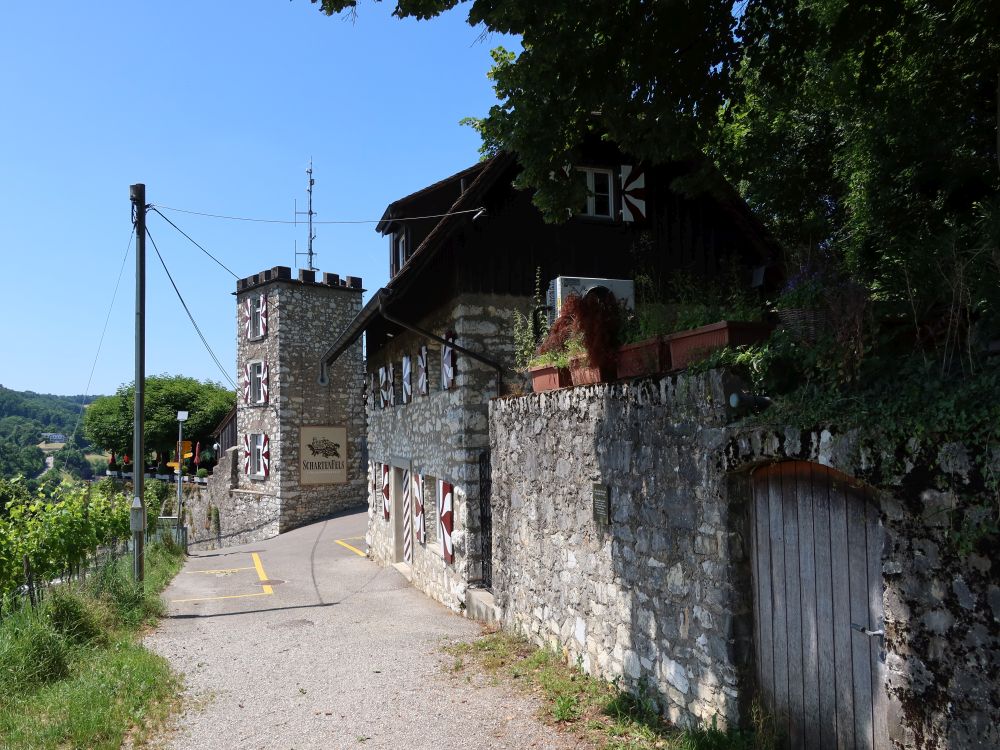 Schloss Schartenfels