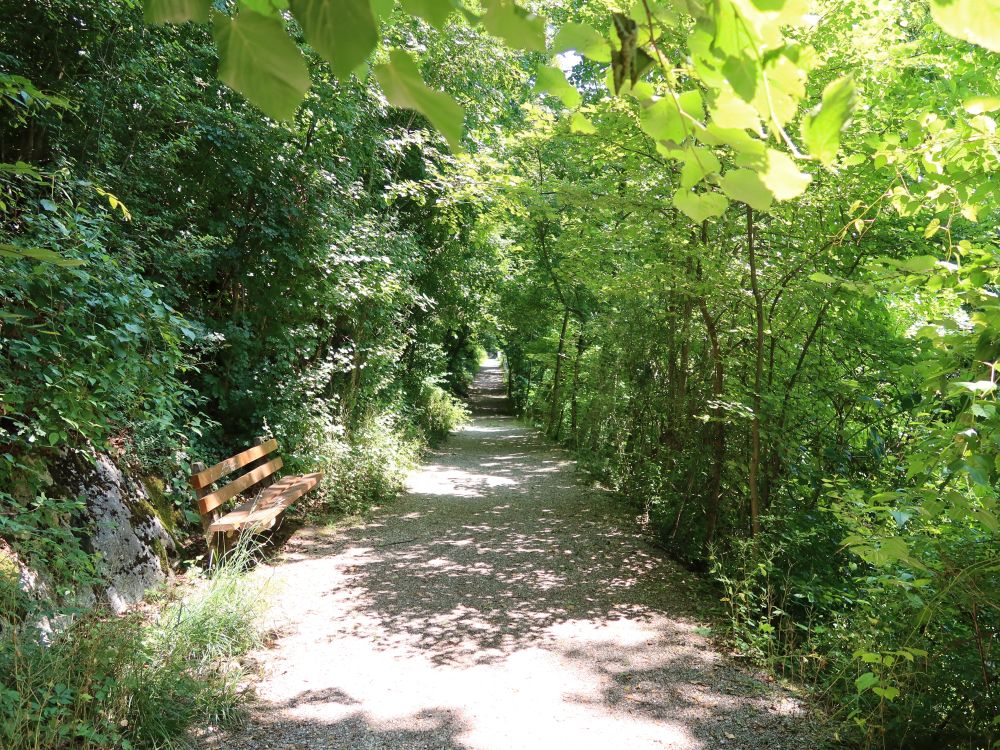 Schartenfelsstrasse