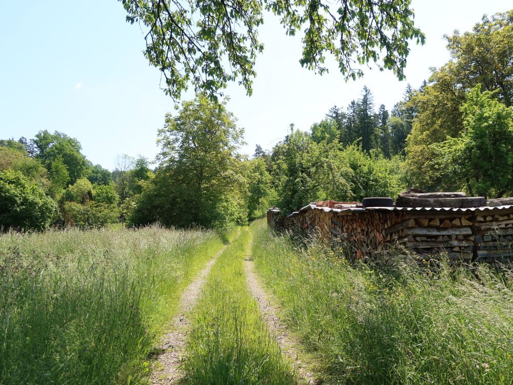 Wirtschaftsweg