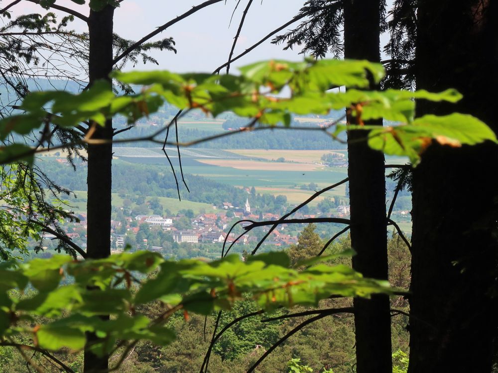 Müllheim zwischen den Bäumen