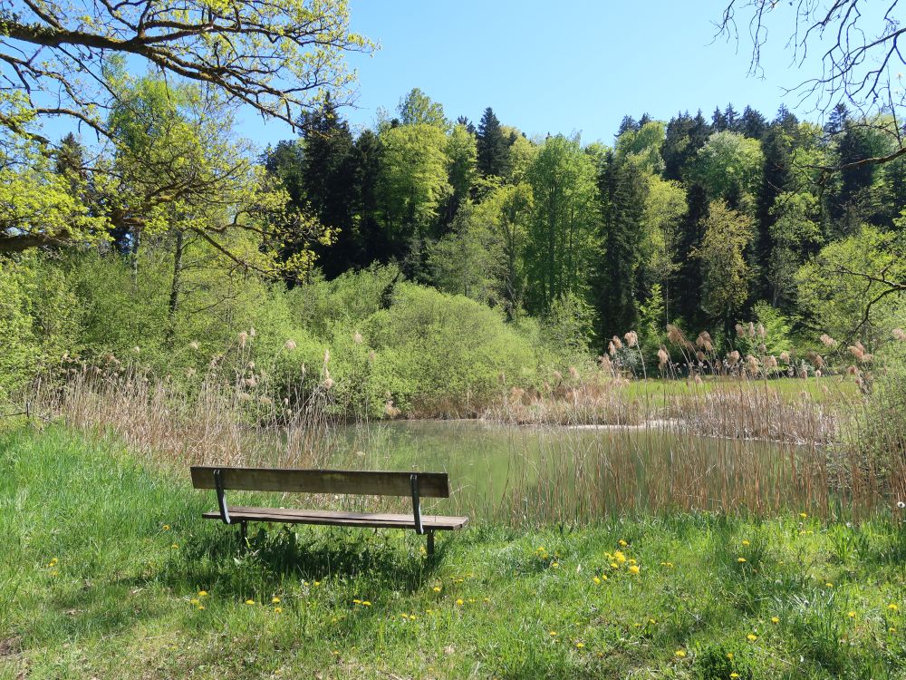 Sitzbank am Mühleweiher