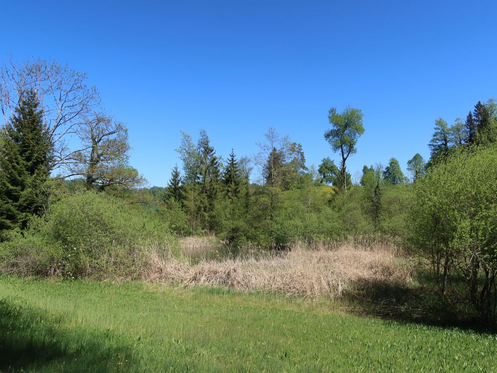 Blick zum Mühleweiher