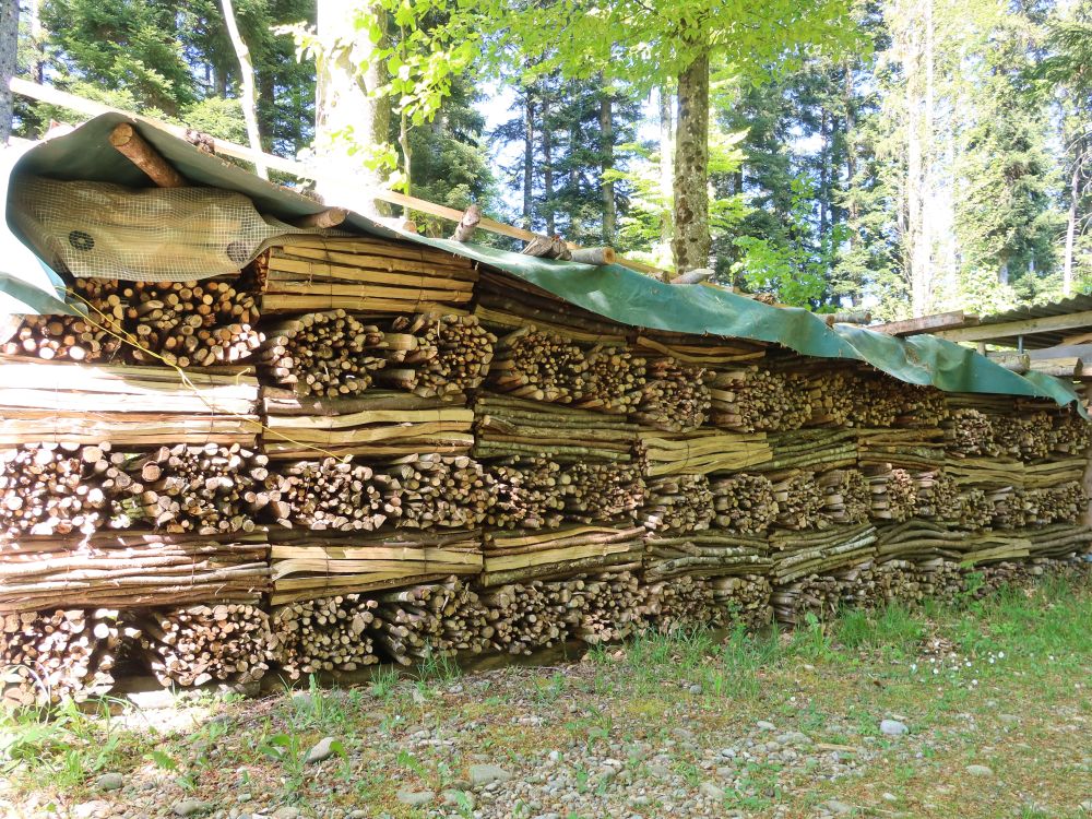 Brennholz
