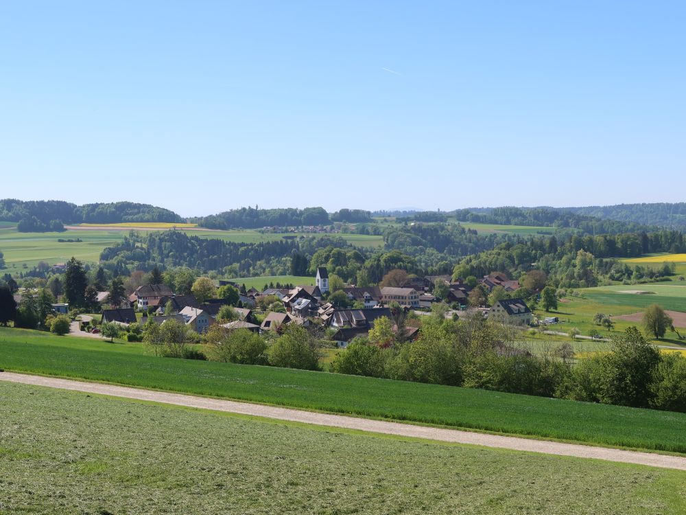 Wildberg