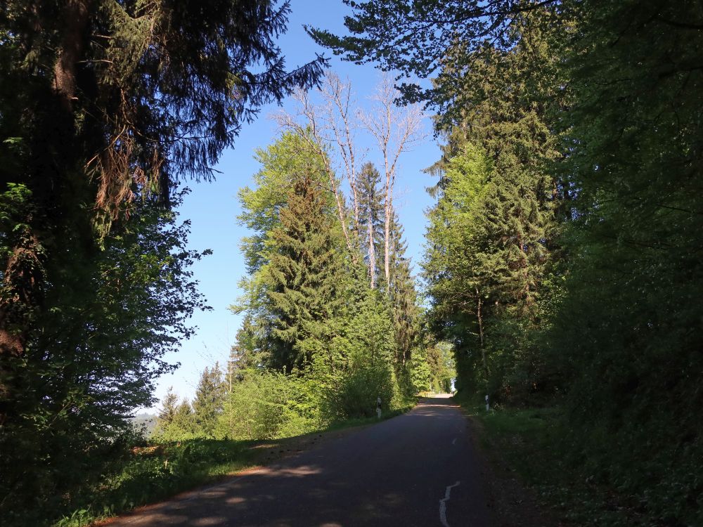 Freudenbergstrasse