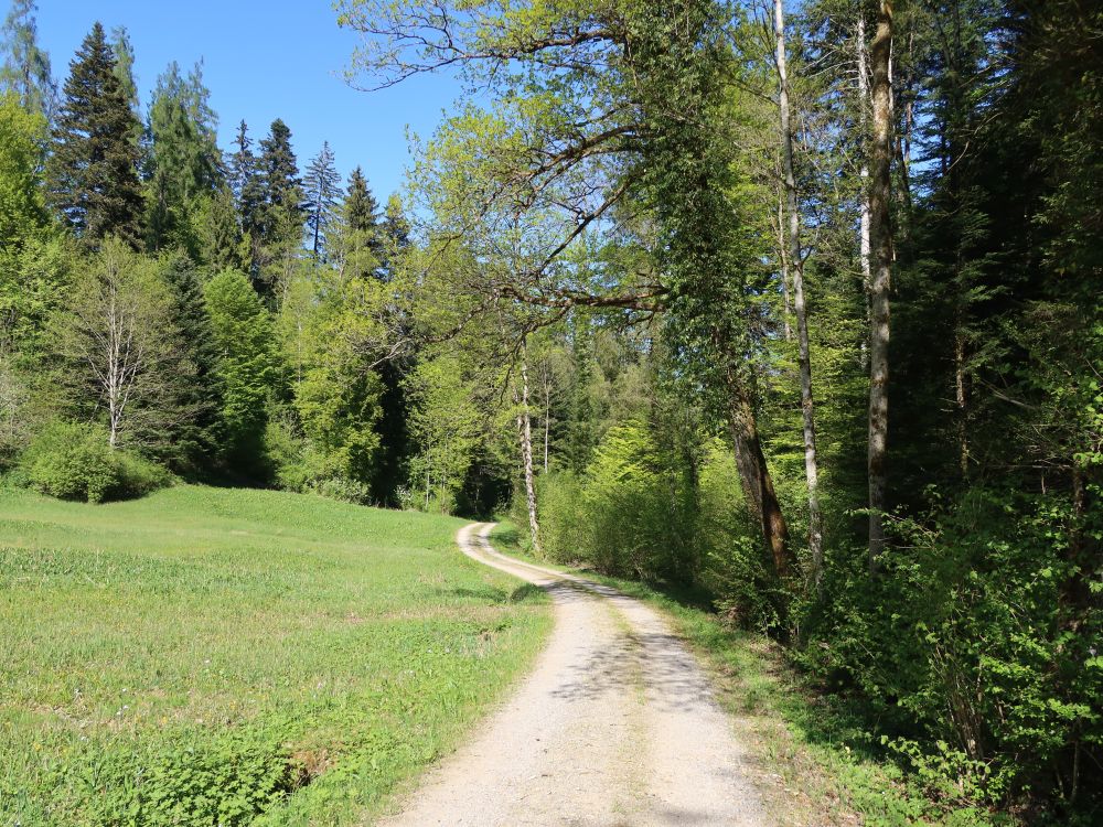 Hüttlibachweg