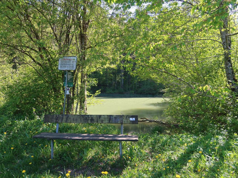 Sitzbank am Rosenbergweiher