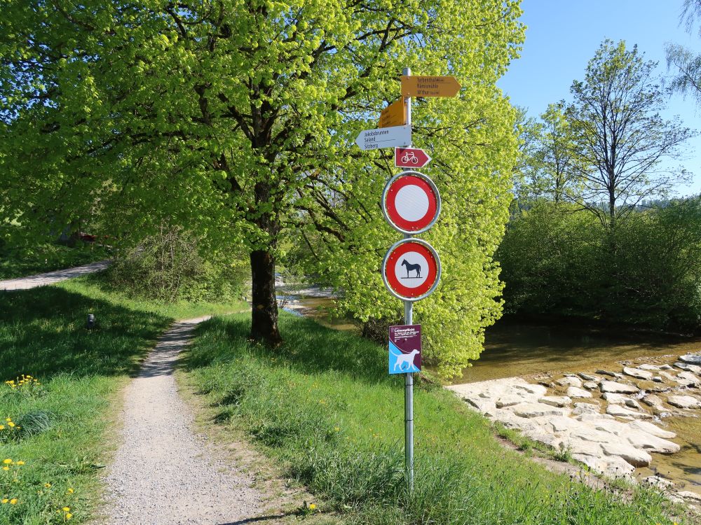 Uferweg an der Töss