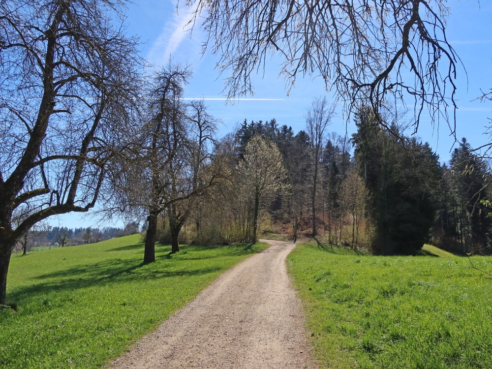 Kesselrietstrasse