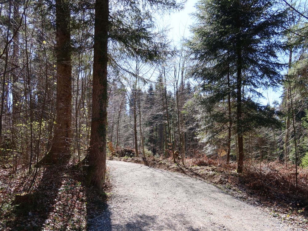 Alter Hochbuckweg