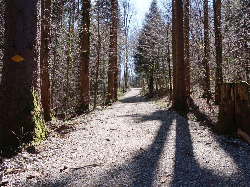 Alter Hochbuckweg