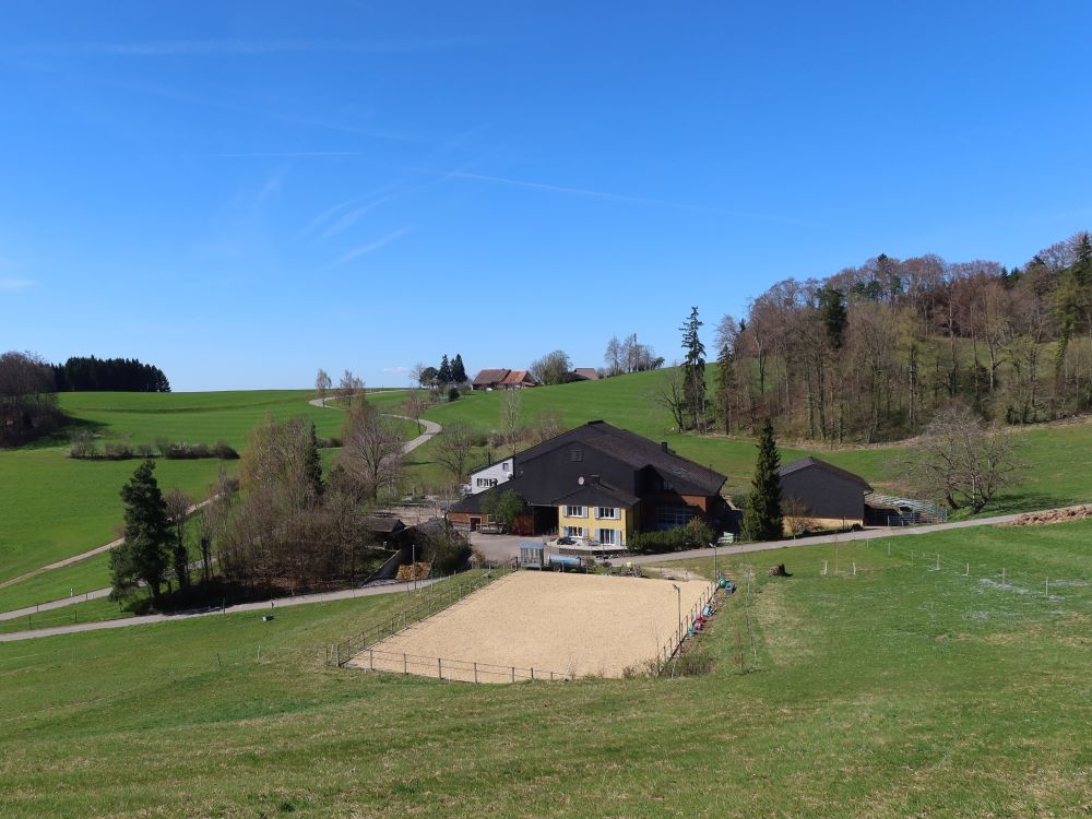 Neuhof