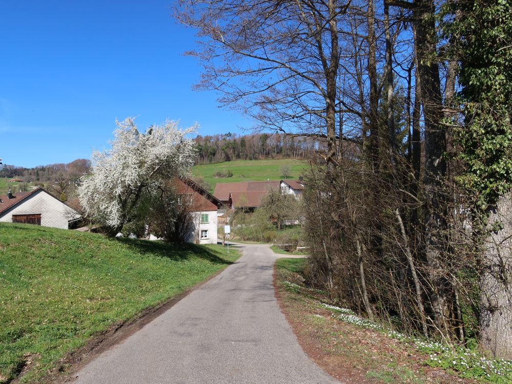 Eschengasse