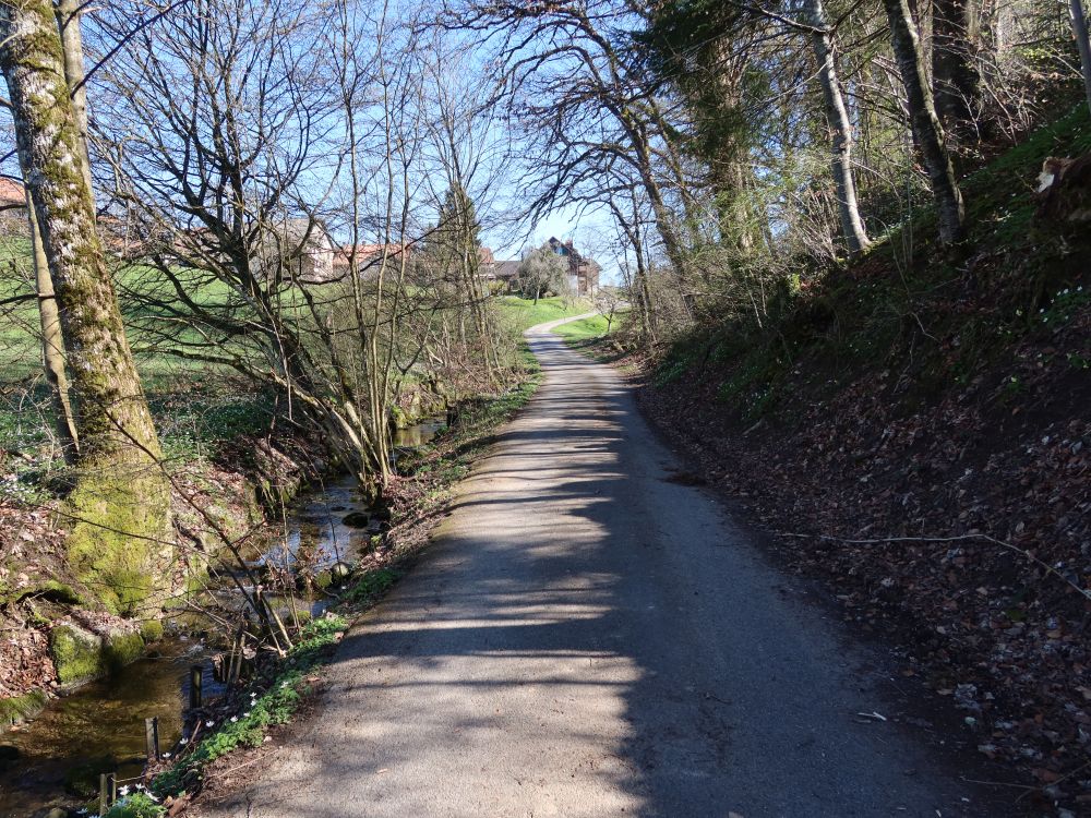 Gündisauerstrasse